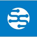 SS Parisi Software